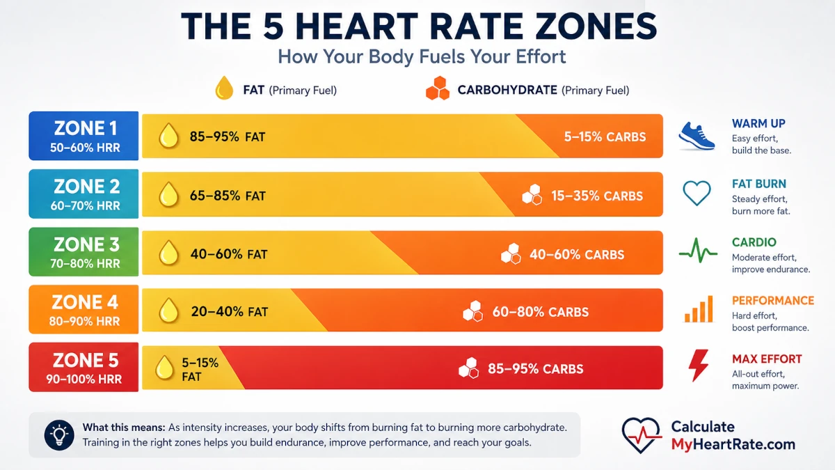 Bar chart showing the five heart rate training zones and the shifting balance of fat versus carbohydrate used as fuel at each zone