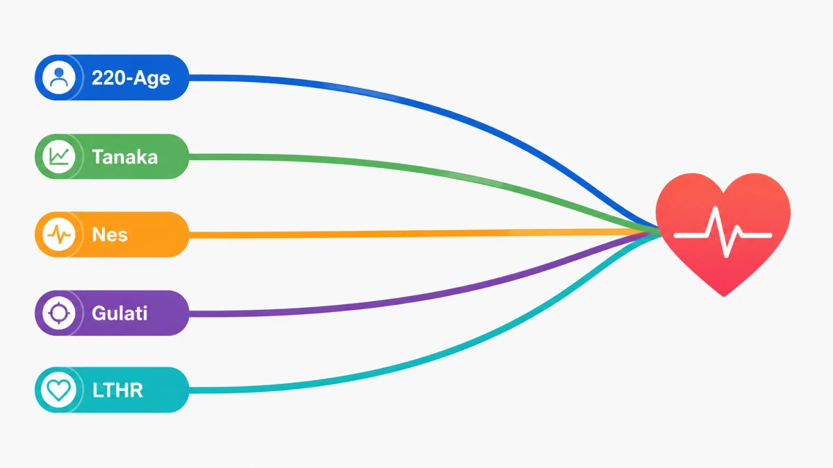 Comparison graphic showing four different max heart rate formulas converging on a single heart icon