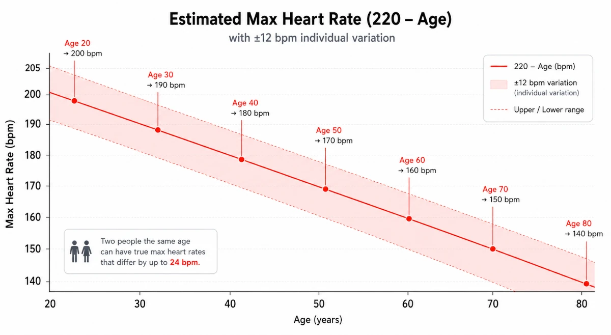 Line chart showing estimated maximum heart rate declining with age from 200 bpm at age 20 to 150 bpm at age 70. The 220-minus-age formula line is shown in coral red with a translucent ±12 bpm shaded band. Milestone ages are annotated, illustrating wide individual variation at every age